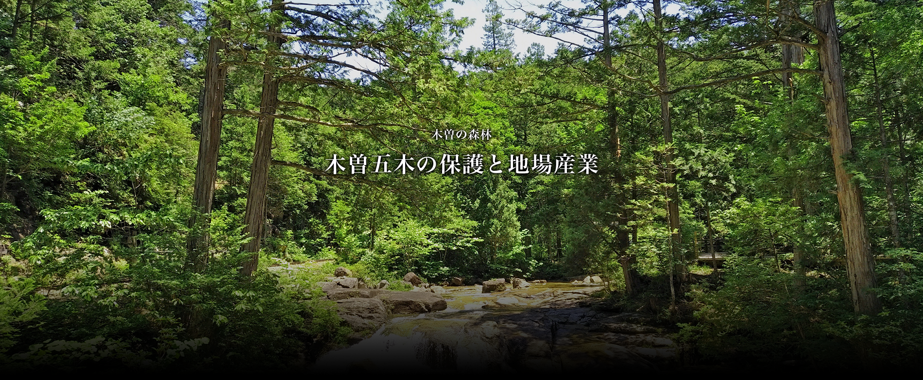 木曽の森林～木曽五木の保護と地場産業